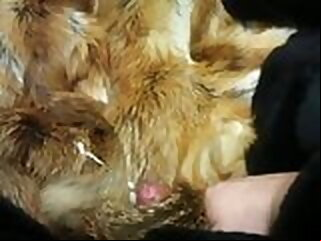 fur cum
