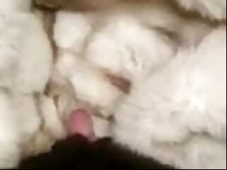 cumshot fur cumshot fox fur coat fur