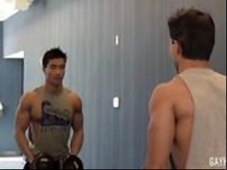 stud: muscle